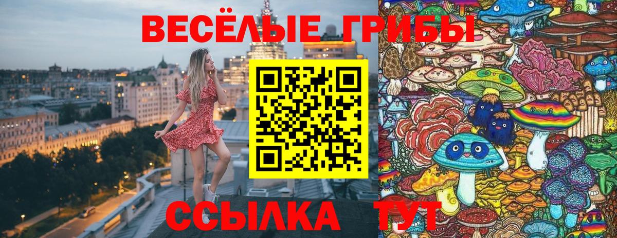 Аша  Галлюциногенные грибы мицелий  Вход с VPN 