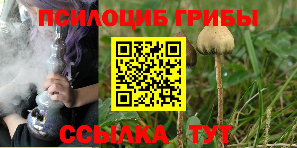 Галлюциногенные грибы прущие грибы Аша